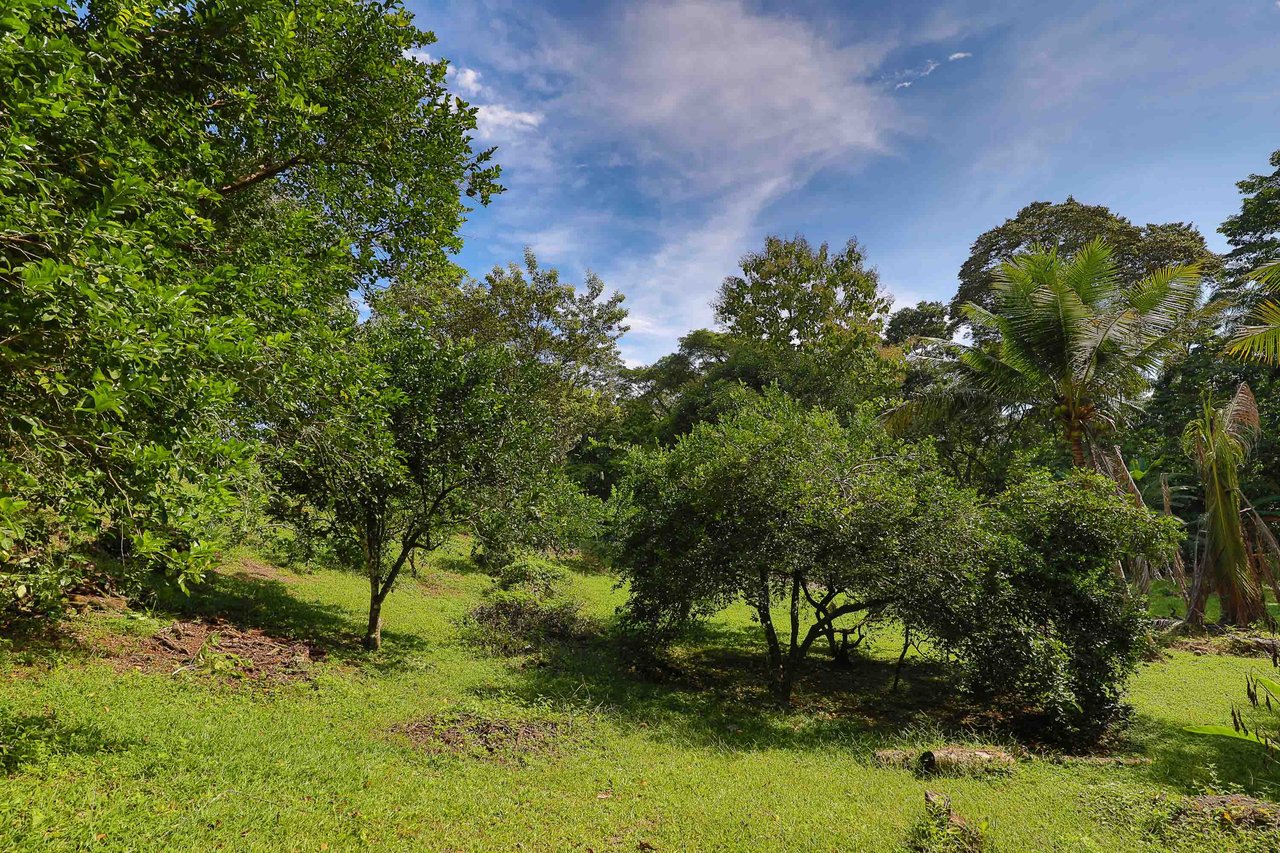 Tropical Paradise Farm in the Heart of Quepos