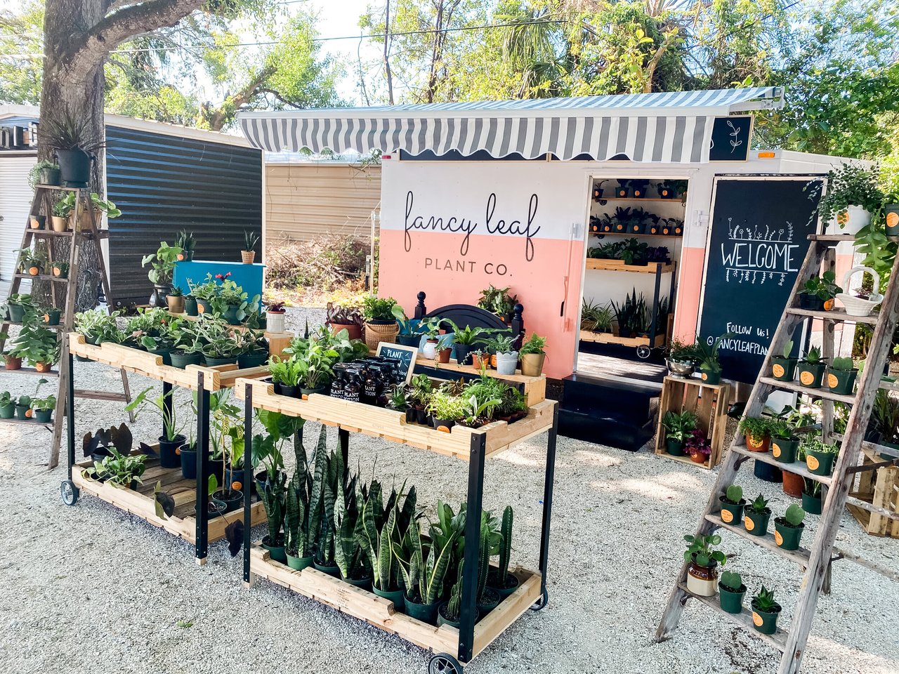 Fancy Leaf Plant Co. Puts Down Roots in Parrish