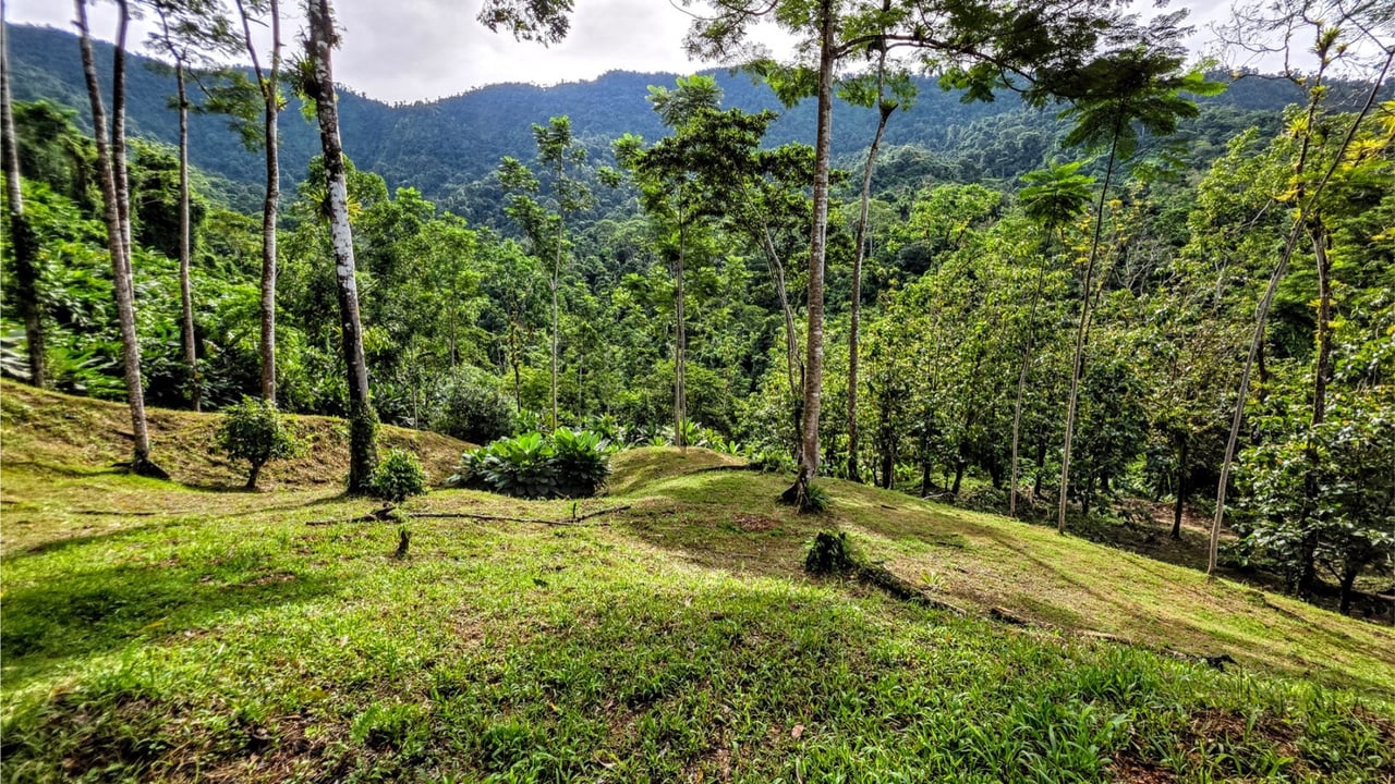 Rainforest Waterfall Acreage Estate, Dominical, Puntarenas