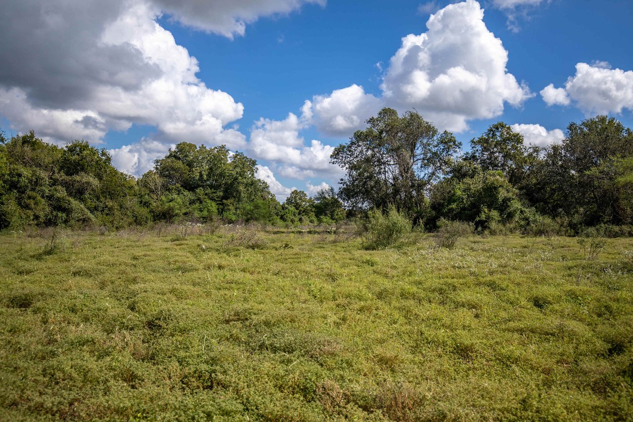 Lovers Lane River Ranch | 140± Acres | DeWitt County