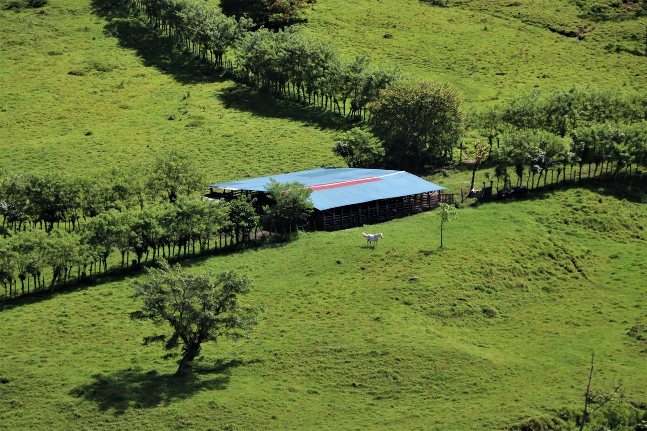 Riverfront Forest Farm, Perez Zeledon, San Jose