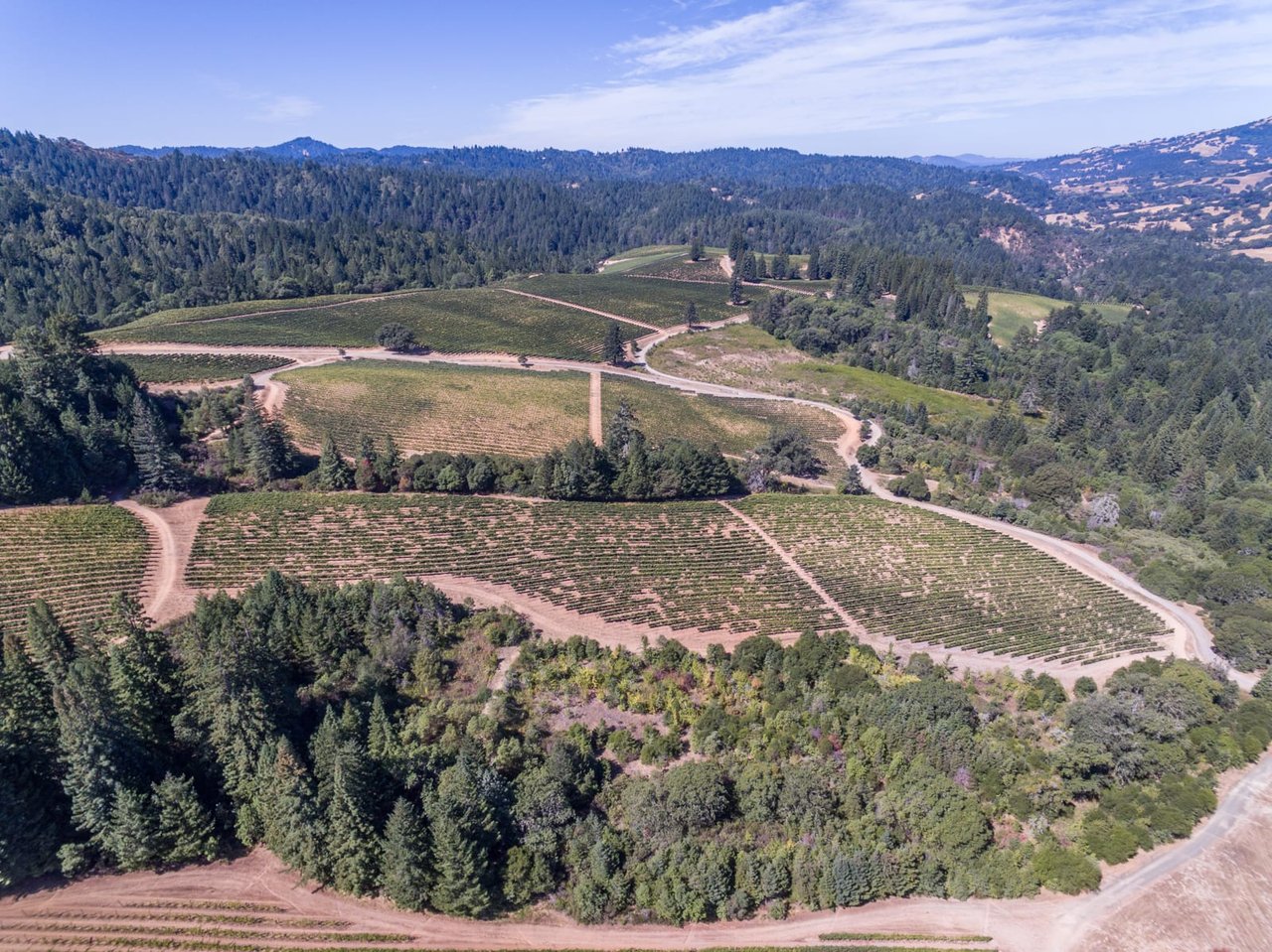 Yorkville Highlands Hillside Vineyard