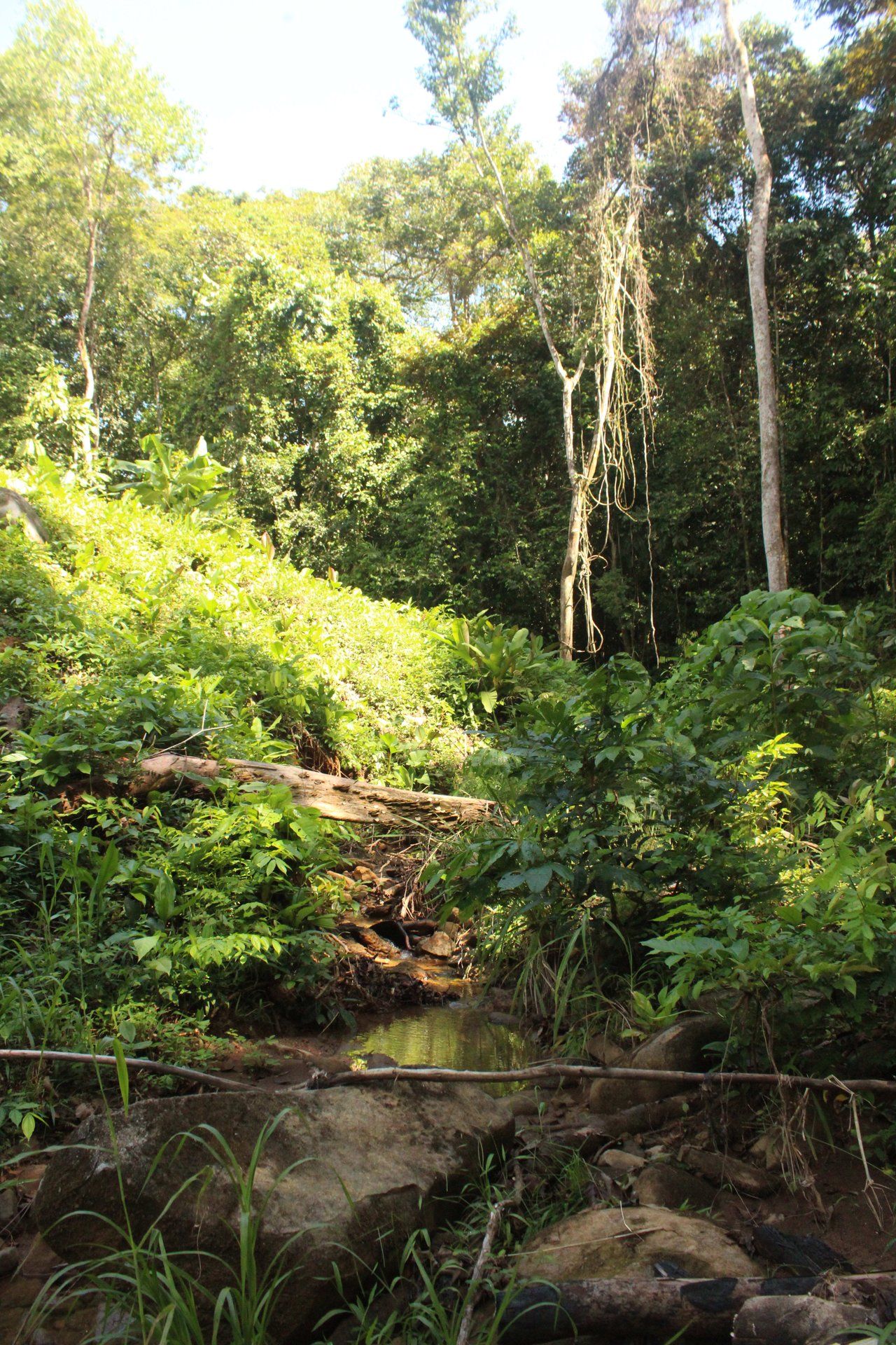 River Frontage Lot close to Uvita