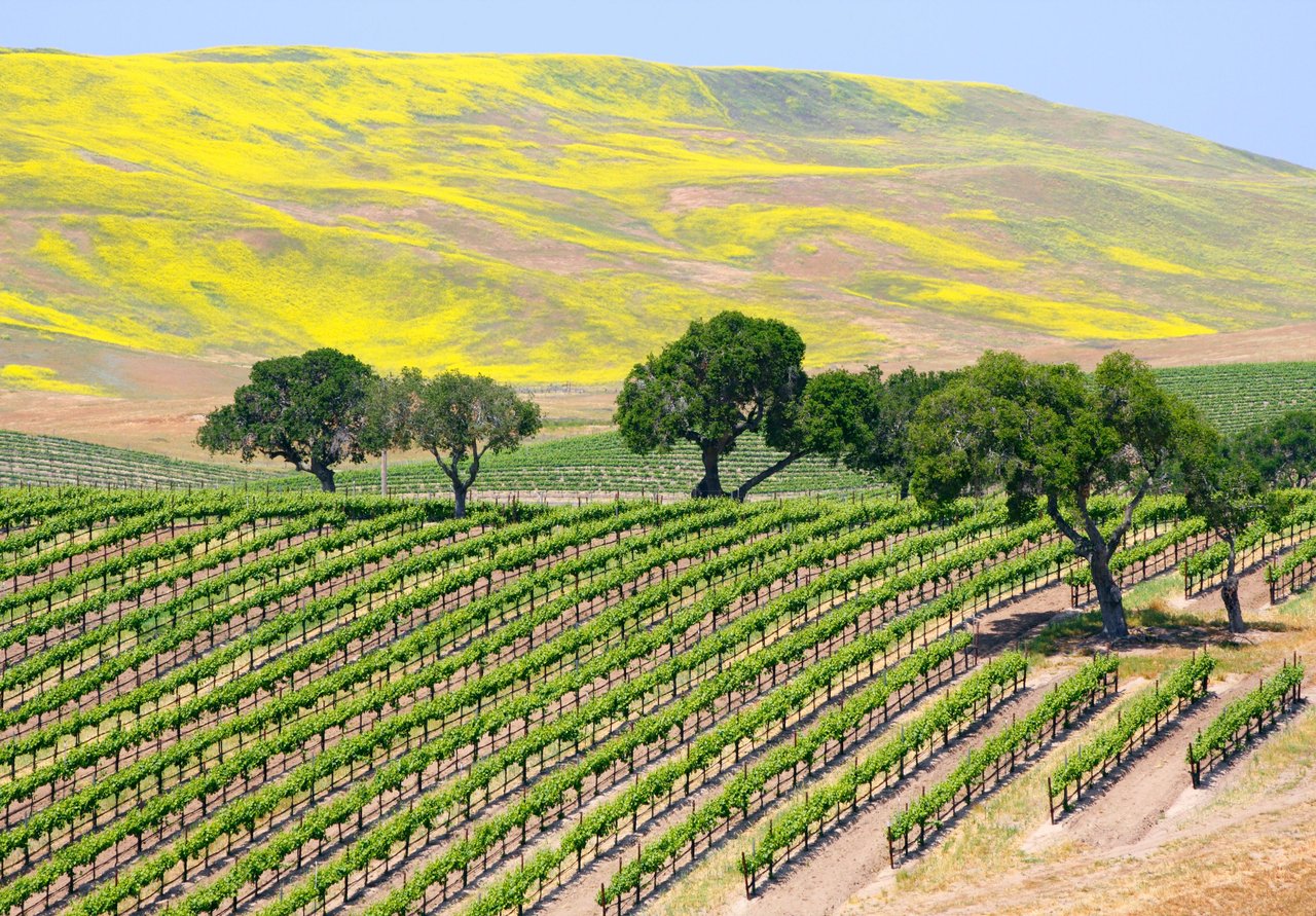 Santa Ynez Valley