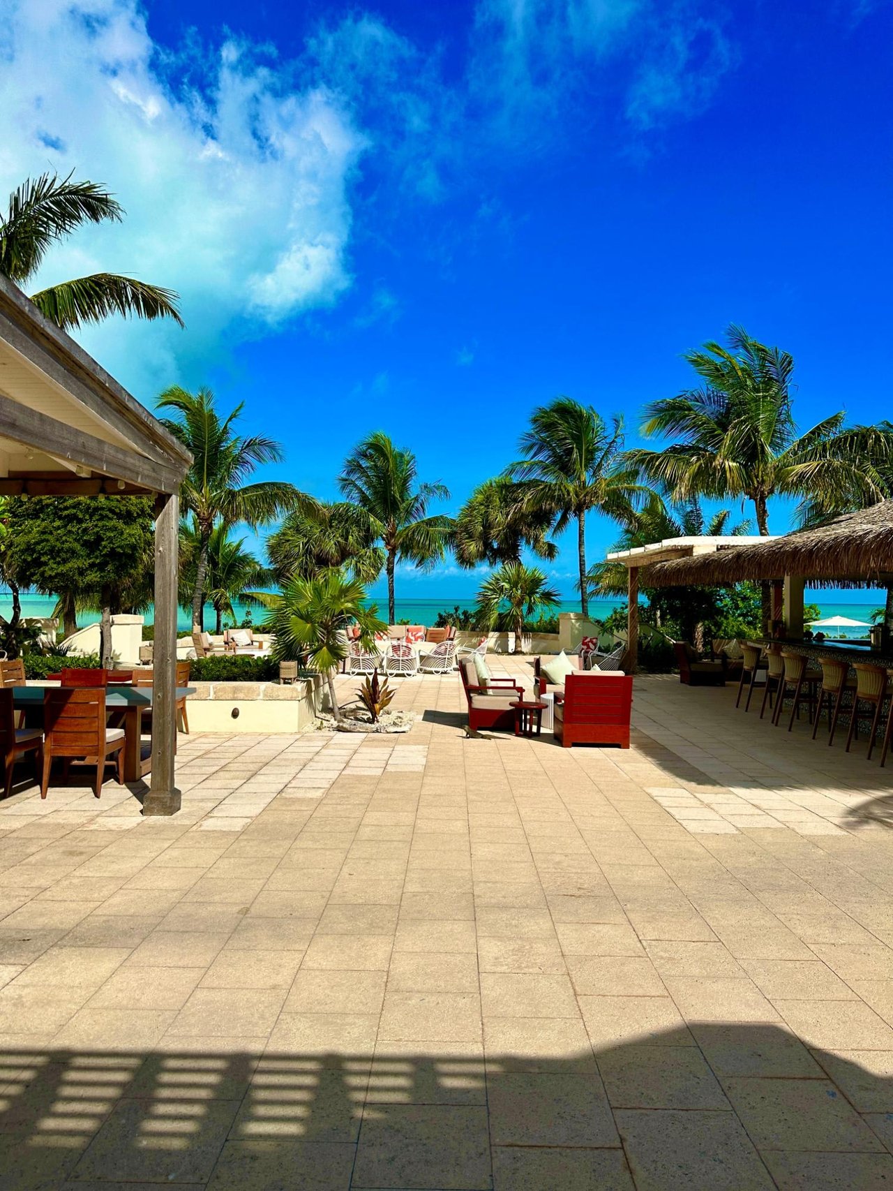 Tarpon Point-Ambergris Cay
