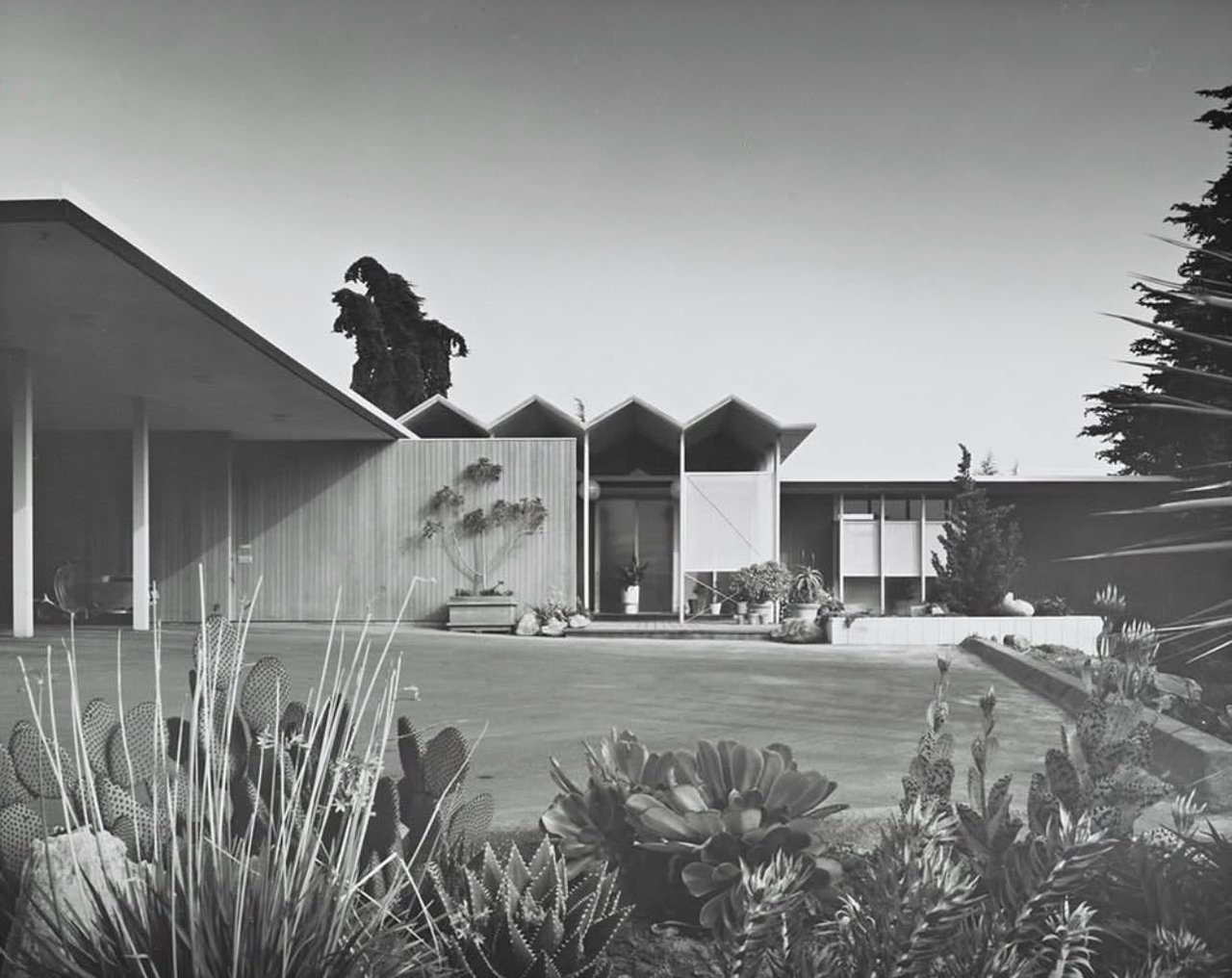 Mid-Century Modern by Frank Lloyd Wright Apprentice! The Dupont Residence: 4545 North Lane