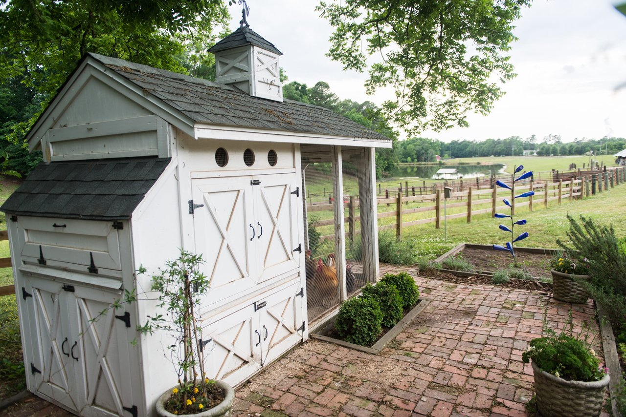 The Family Farm on Avent Ferry