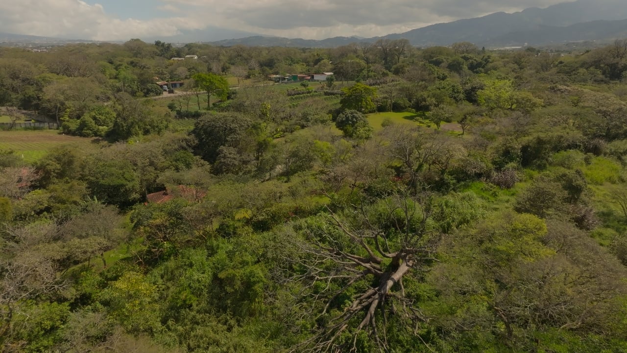 Prime Development Land for Sale La Guacima, Guacima, Alajuela