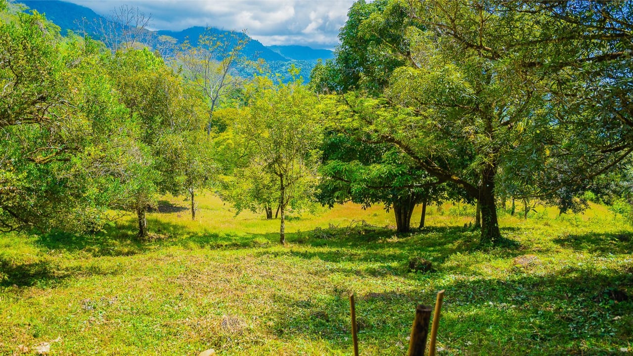 Prime Forest View Lot, Ojochal, Puntarenas