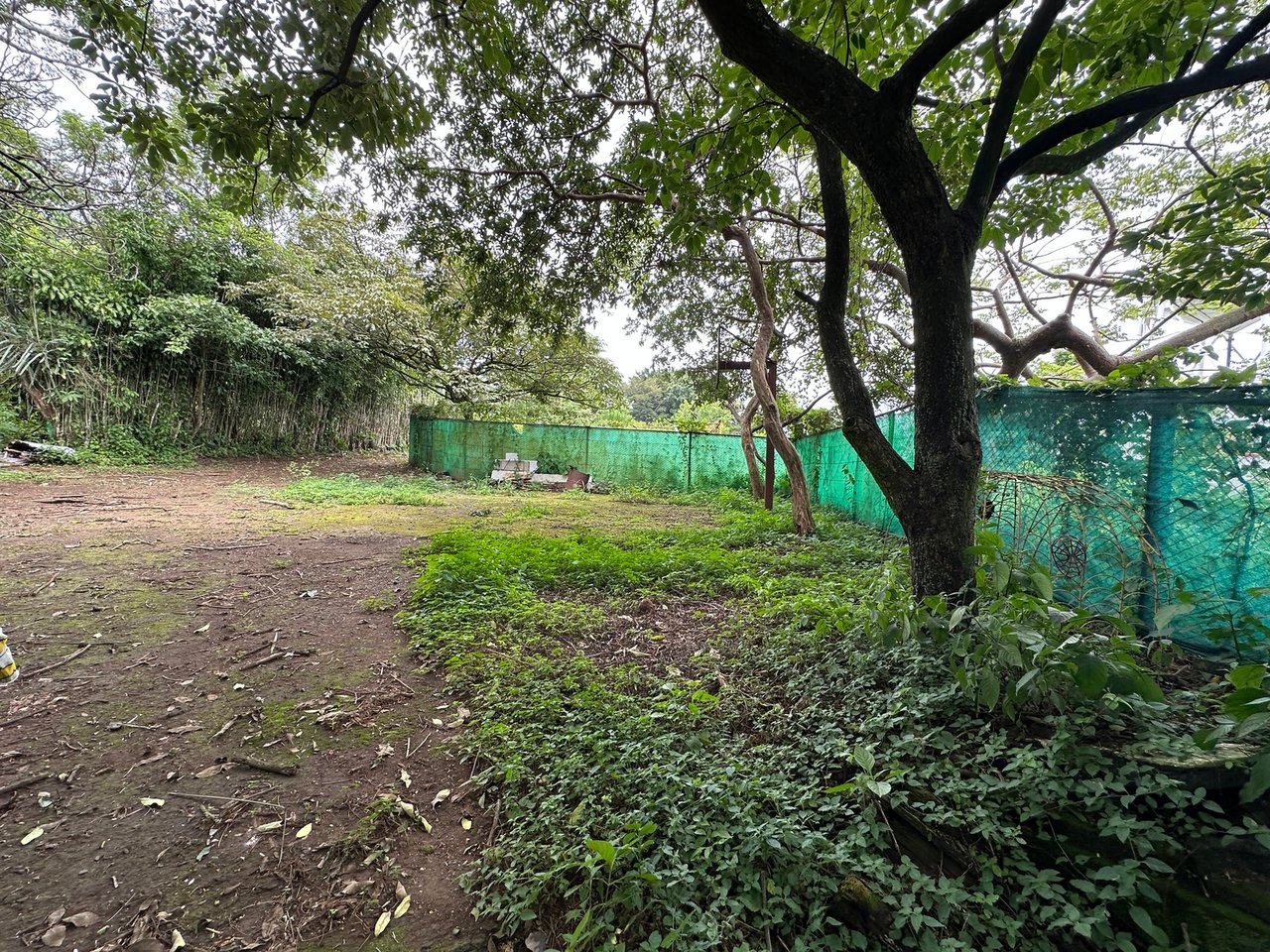 Lush Butterfly Garden Building Lot, Heredia