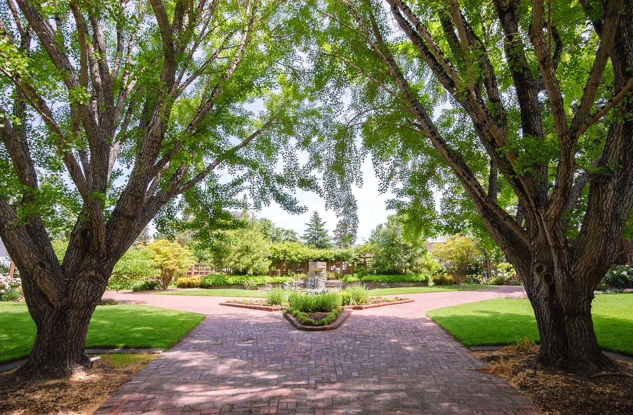 Santa Rosa