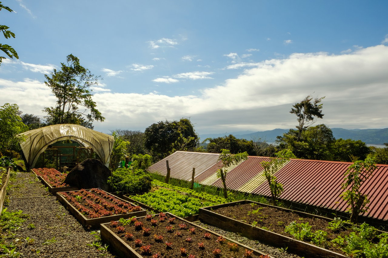 Organic Sustainable Lakefront Farm, Lake Arenal, Alajuela