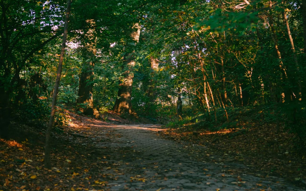 A Guide to Park Slope Parks