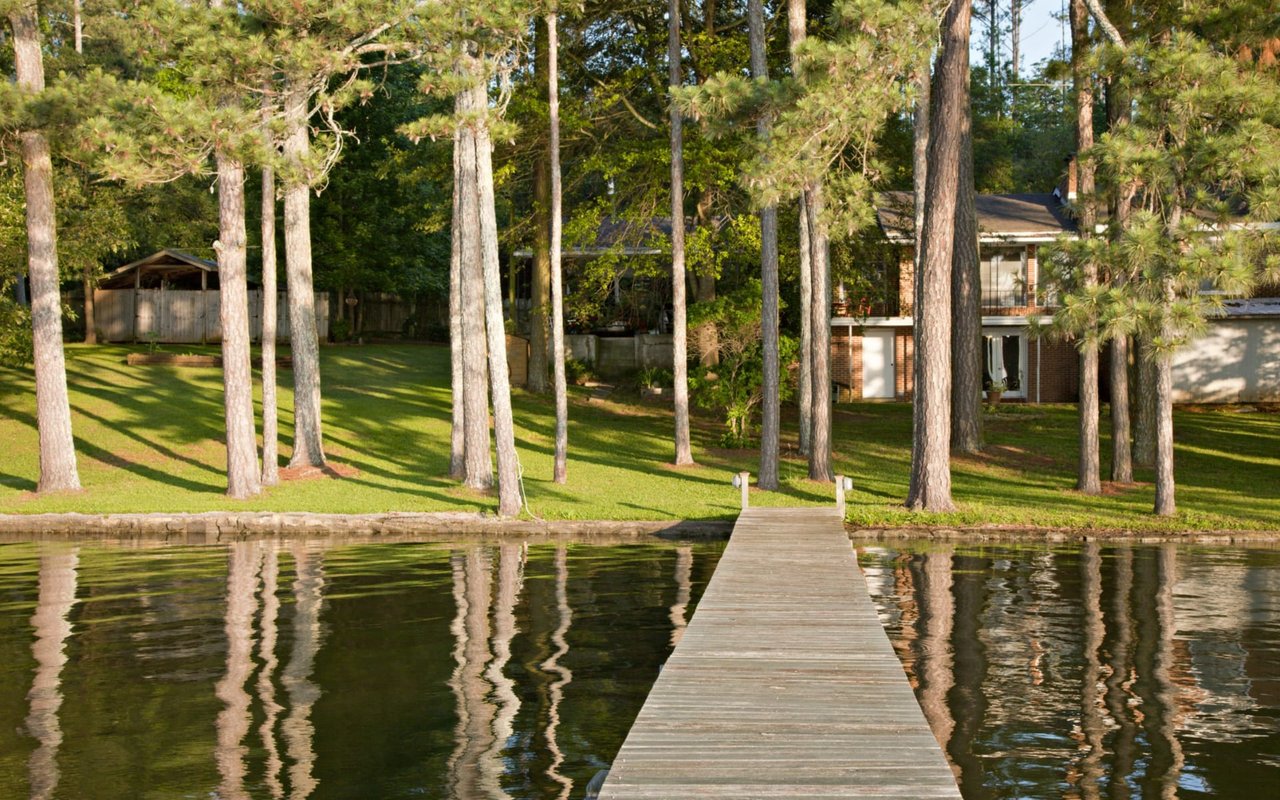  A weathered wooden pier extends into a calm body of water, reflecting the tall, slender trees lining the shore. 