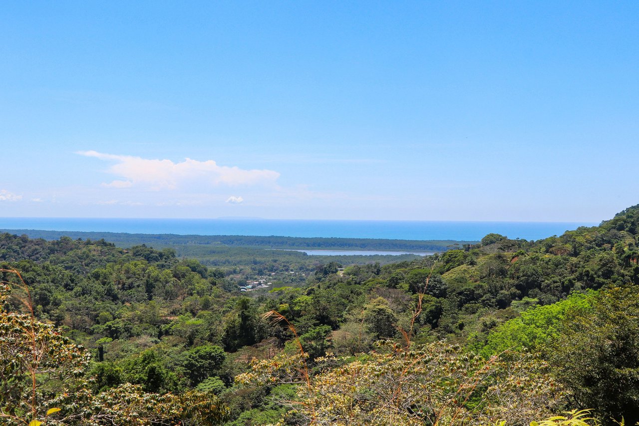 An elevated, prepared river lot with 360-degree ocean, mountain, valley and jungle views