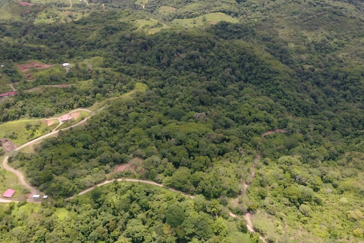 Wildlife Reserve Farm close to Ojochal