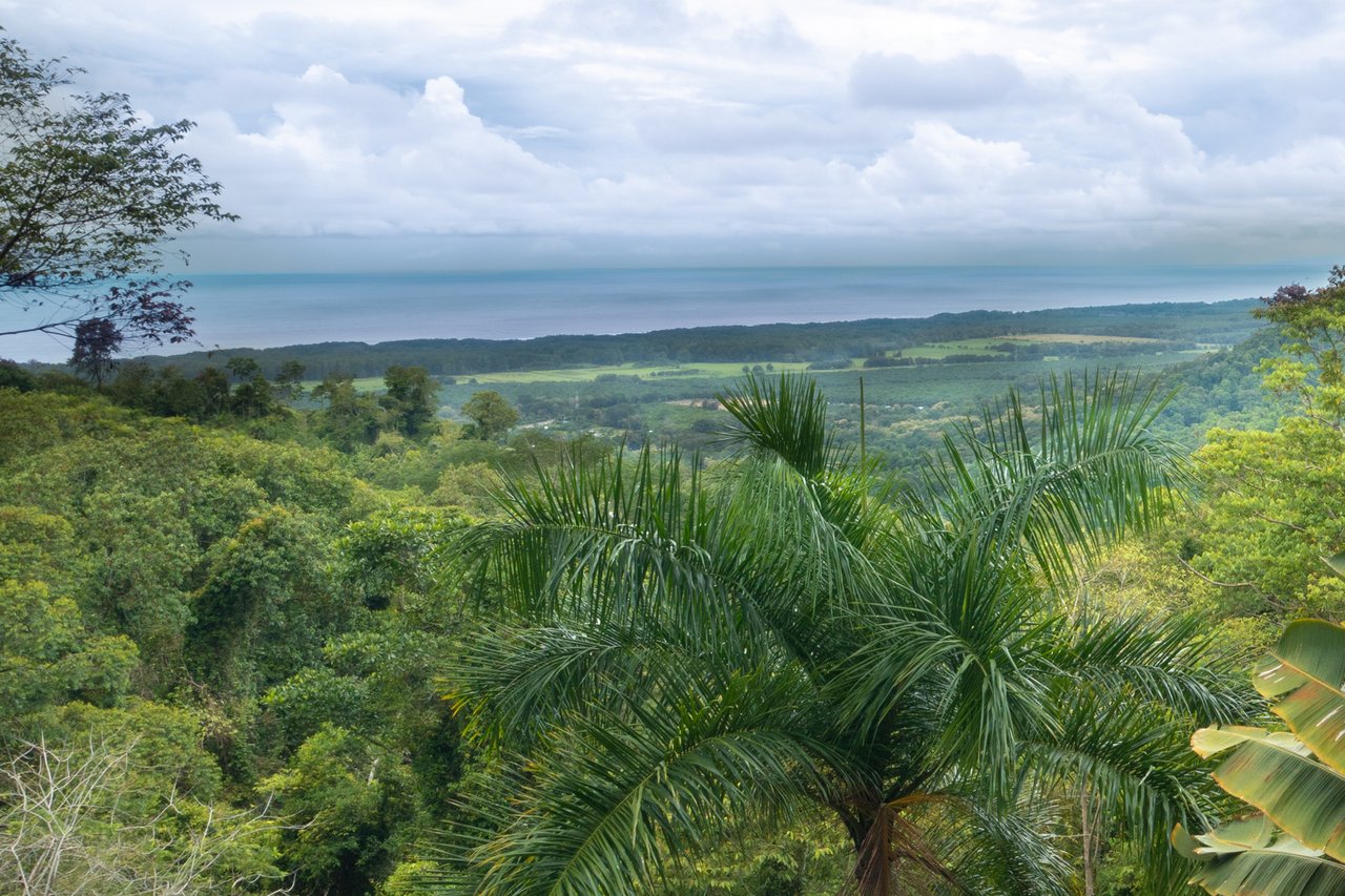 Modern Rainforest Estate, Manuel Antonio, Puntarenas