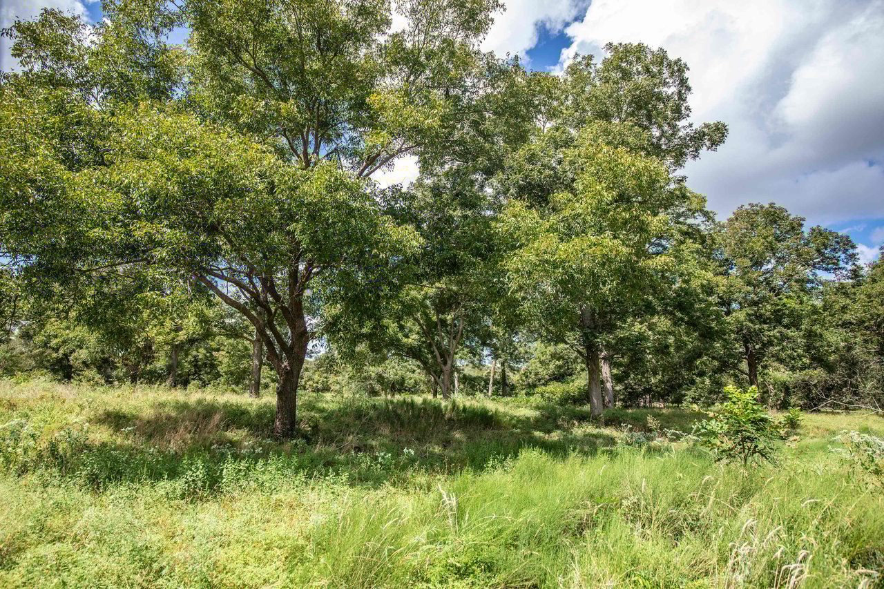 Lovers Lane River Ranch | 140± Acres | DeWitt County