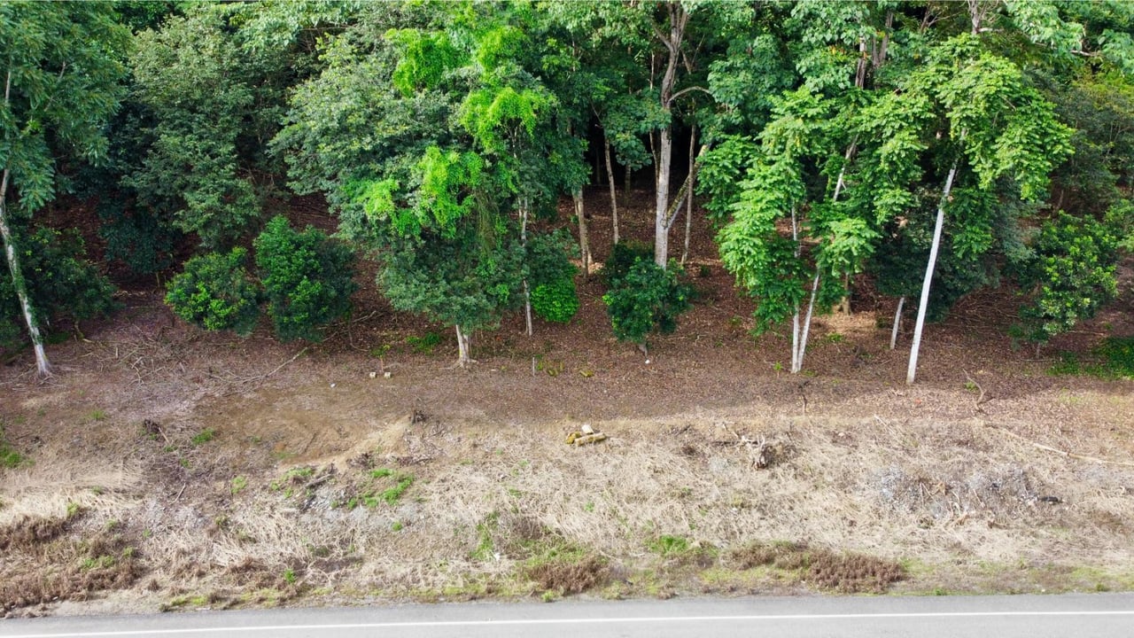 Flat Commercial Development Lot, Osa, Puntarenas