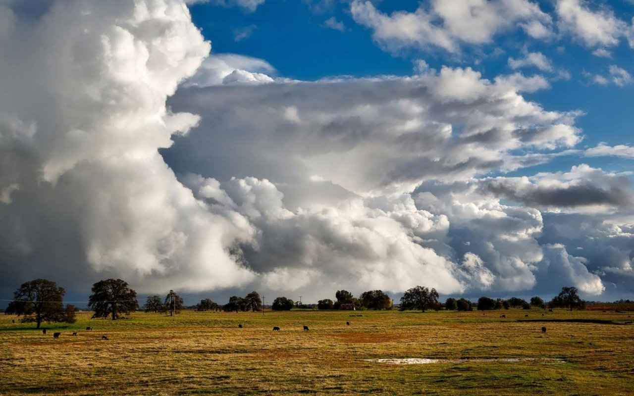 Historic Ranches for Sale in Castle Rock, CO: What You Need to Know