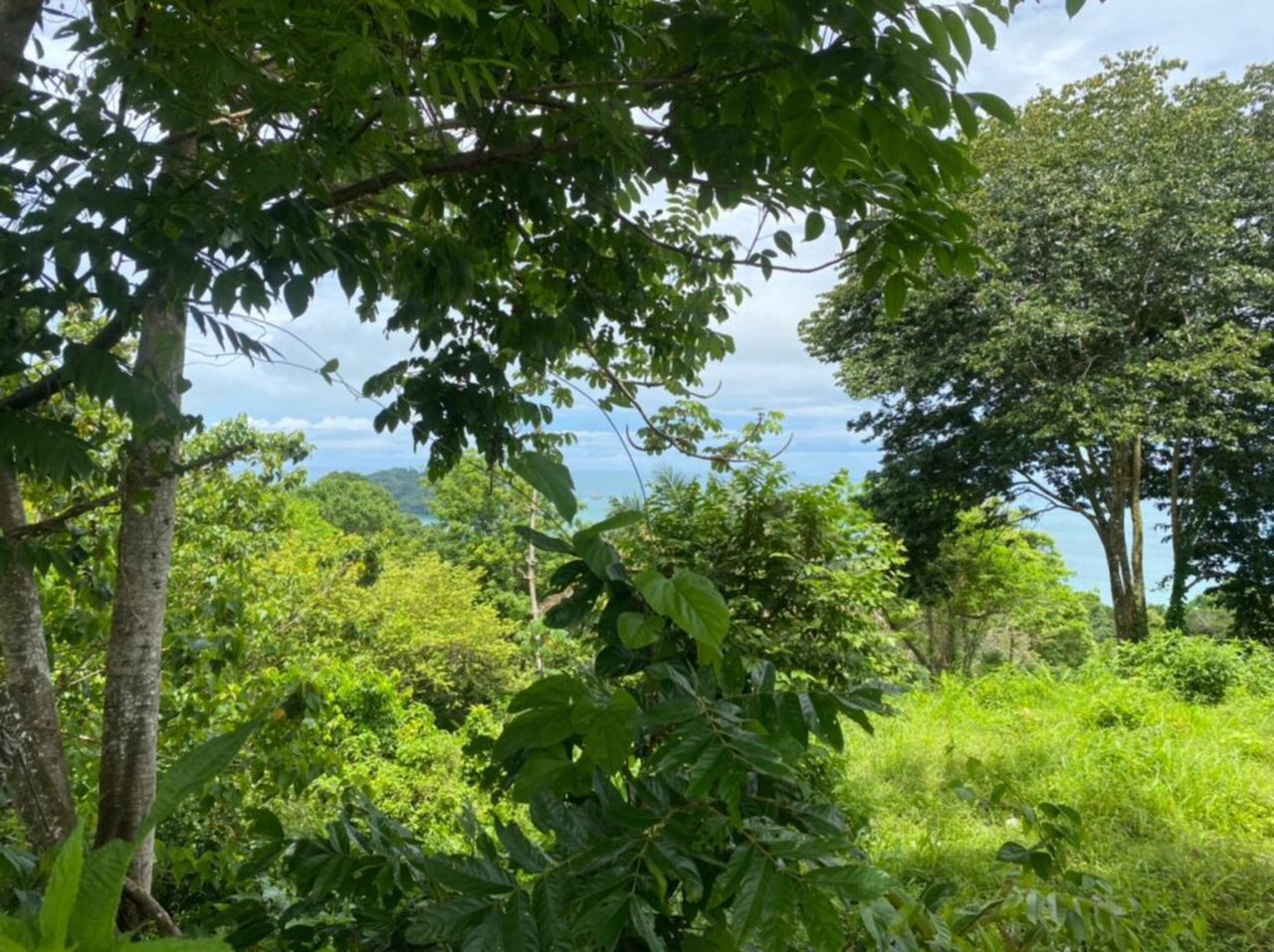 Prime Development Homesite, Manuel Antonio, Puntarenas