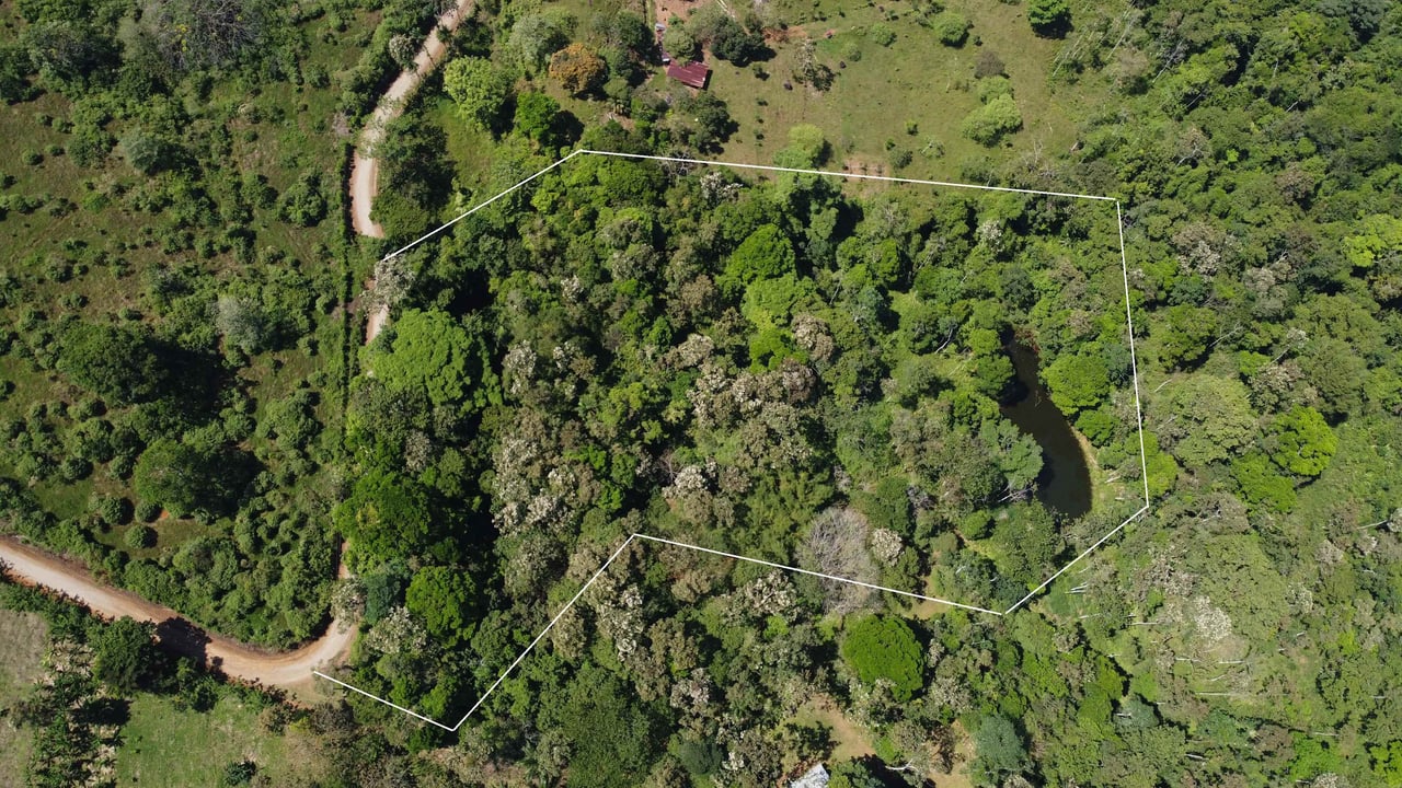 Finca La Paz | Scenic Property in Santo Domingo de Bijagua For Sale!