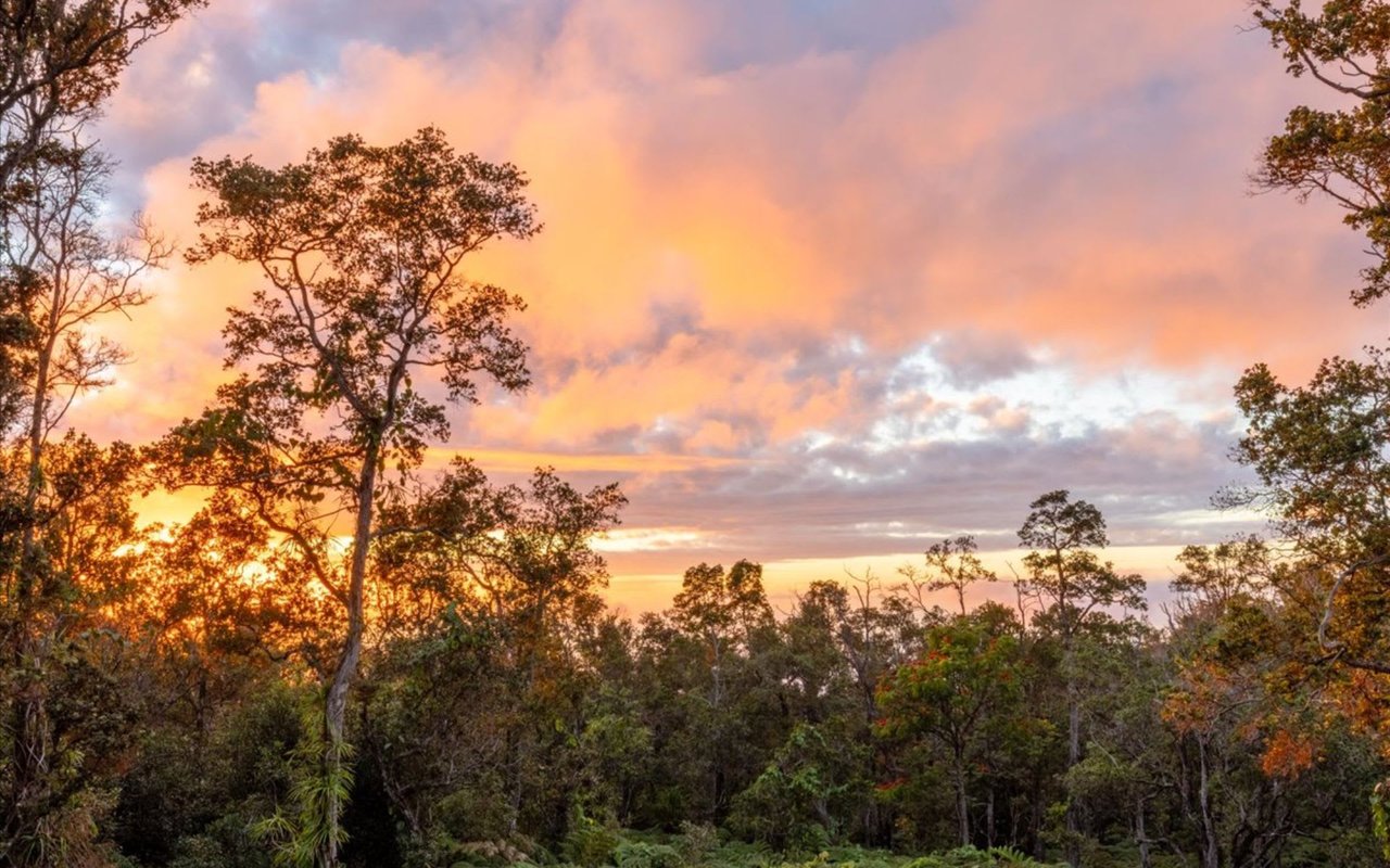 6 Best Neighborhoods to Live in Kona