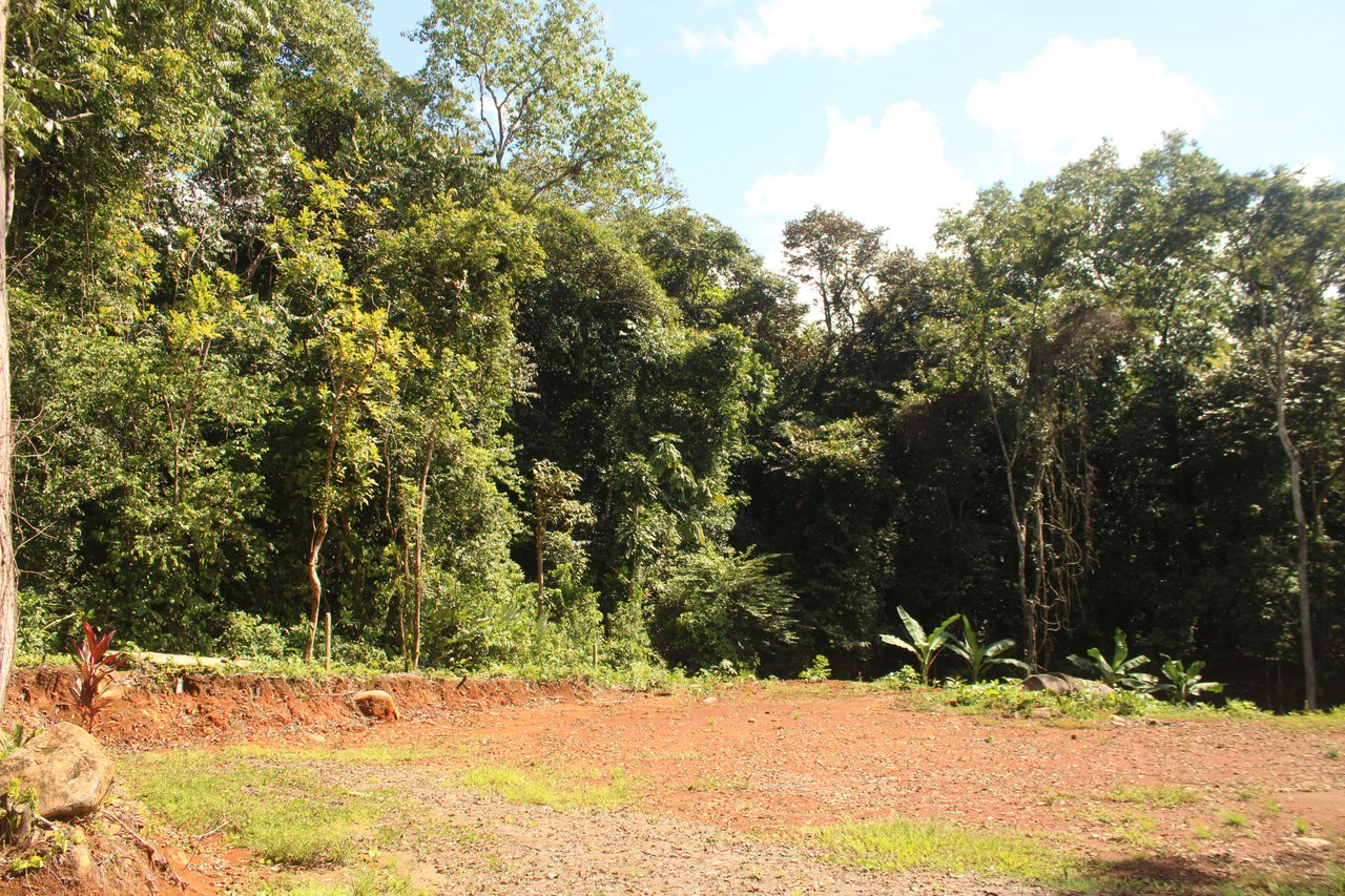 River Frontage Lot close to Uvita