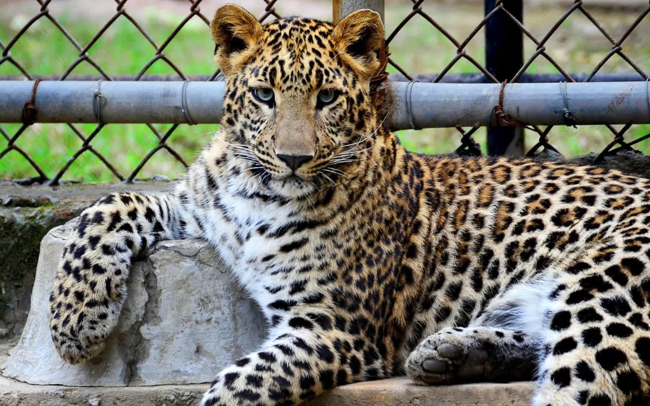 Weekend Trips from Waconia