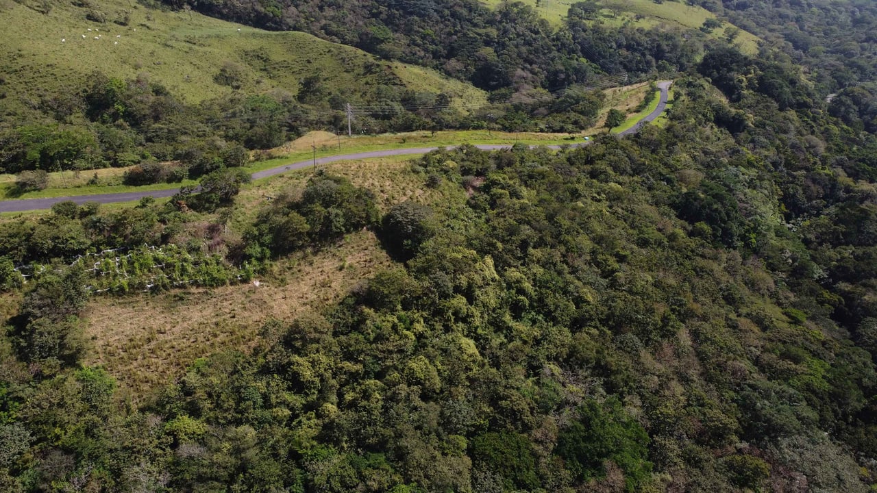 Rio Chiquito Farm | This farm offers an expansive canvas to bring your dreams to life in the majestic Guanacaste mountain rainforest region.