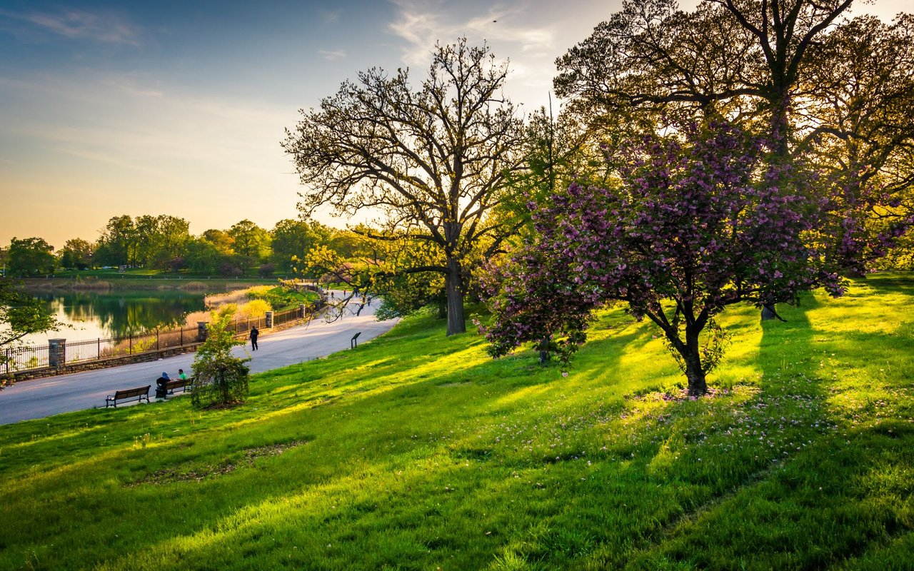 Druid Hills