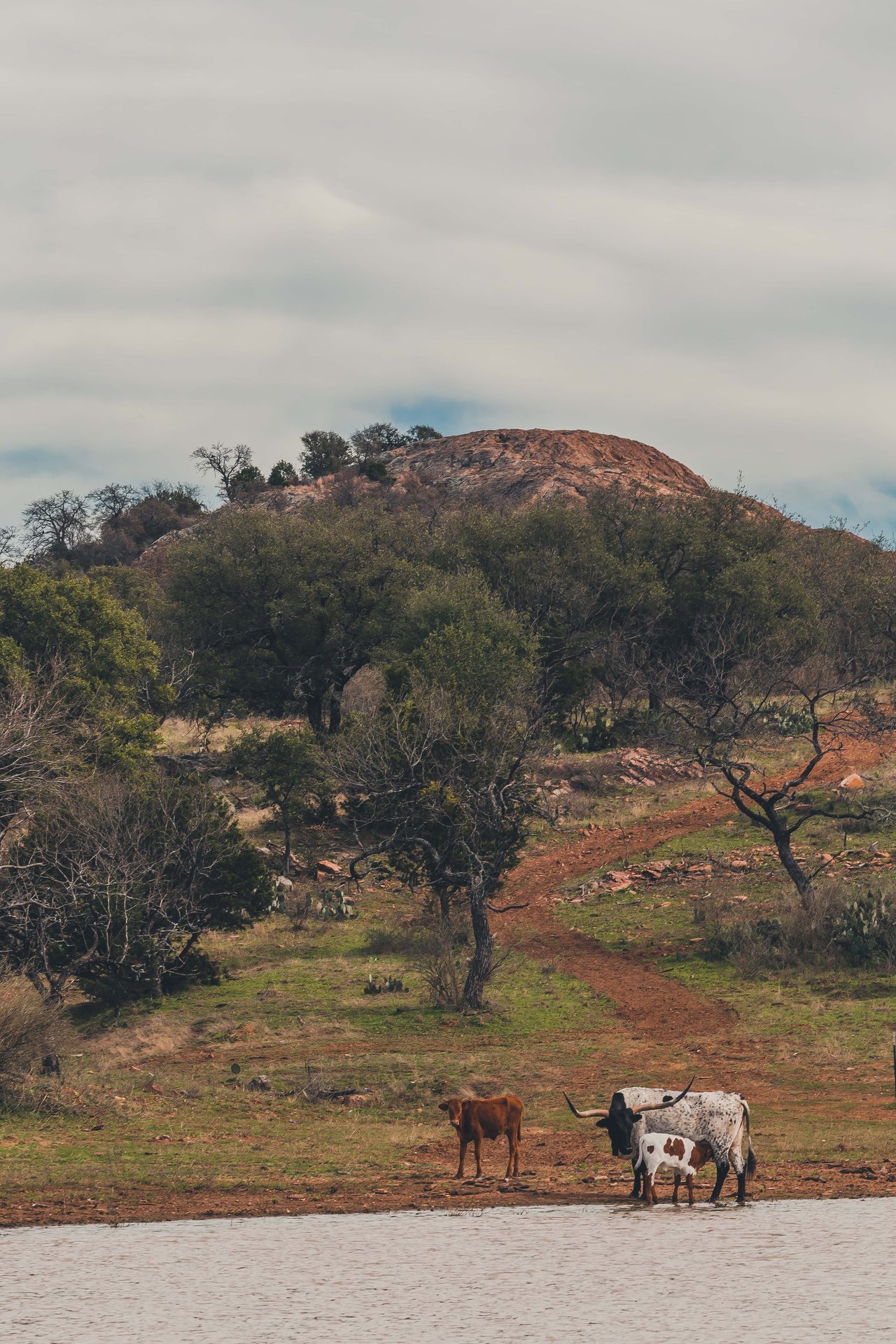 Cuatro Colinas Ranch