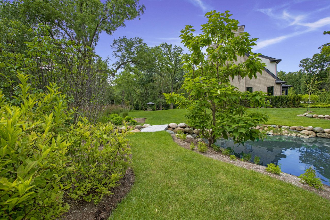 Pond Renovation