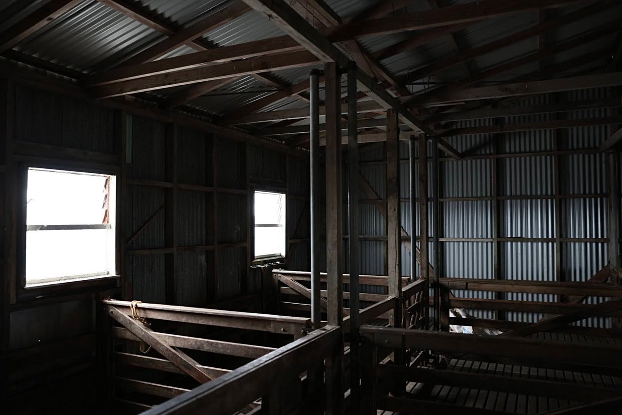 Parihoa Farm, New Zealand