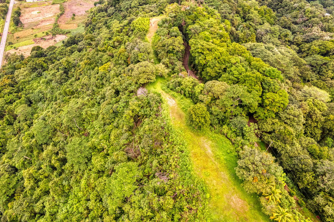 Coronado Estates Development Farm