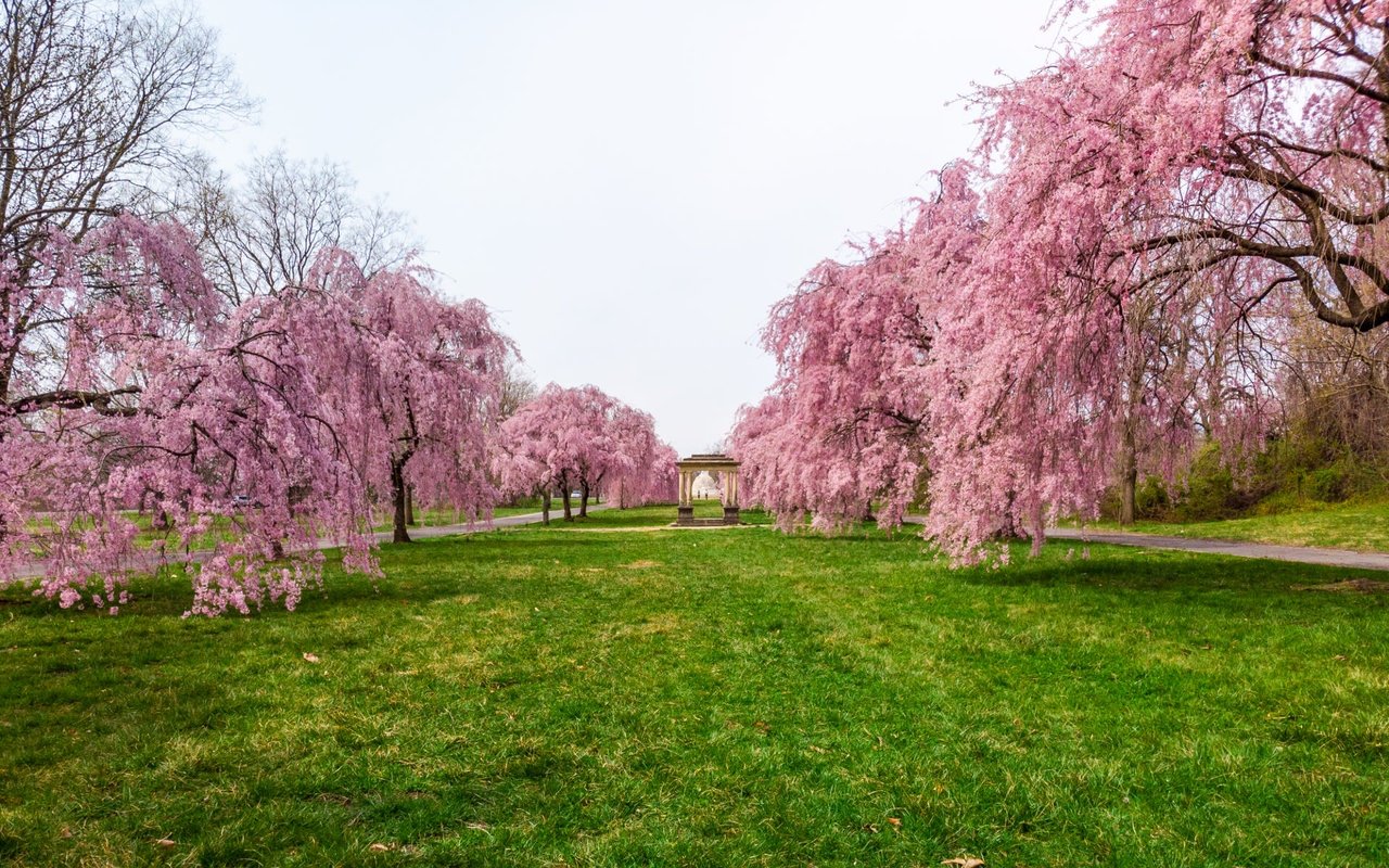 1775 N AMERICAN STREET 210