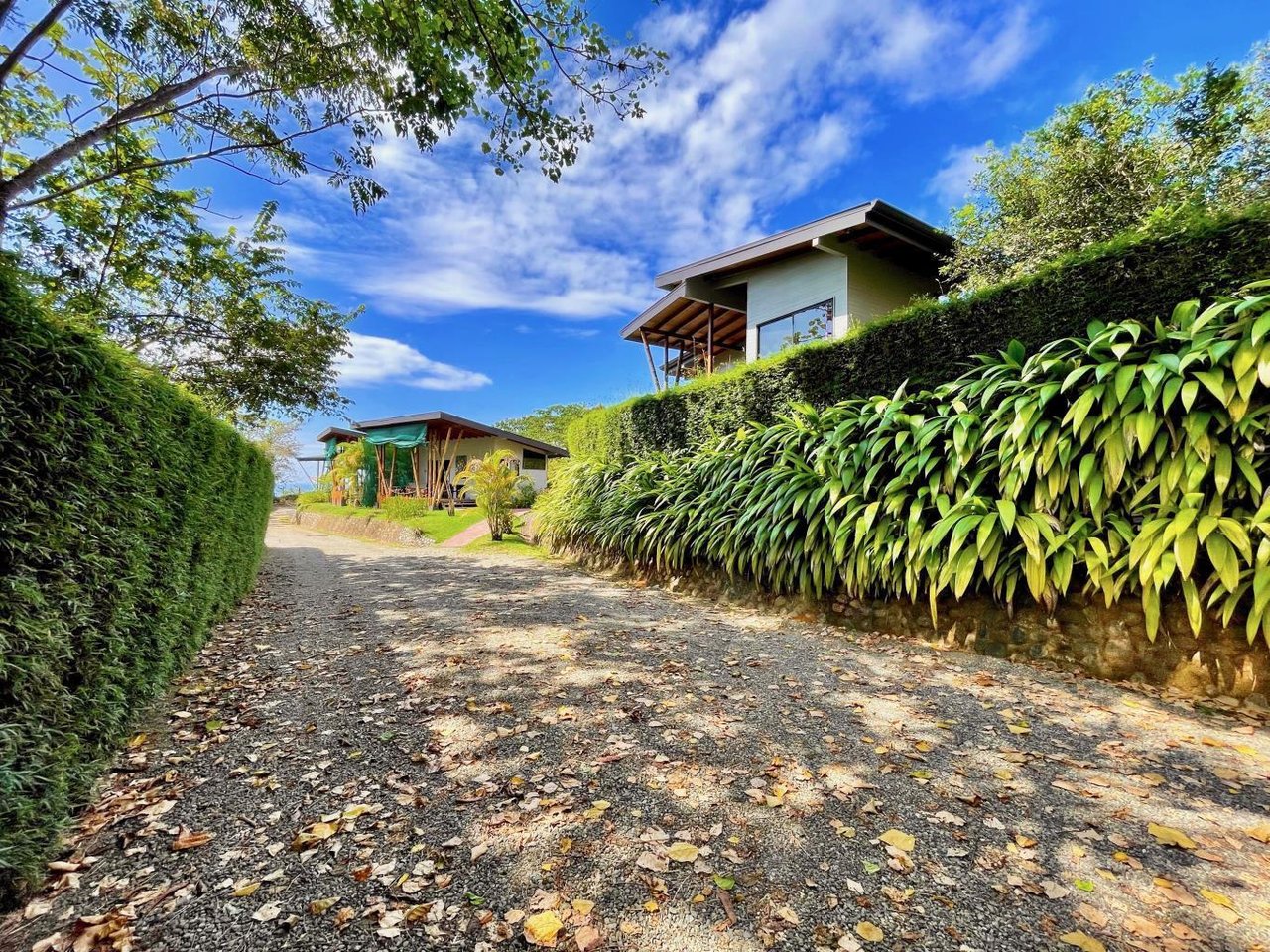 6 Bed Ocean View Estate, 2 Pools, Perfect for Air BnB, Hotel, or Family Compound, 2.24 Acres