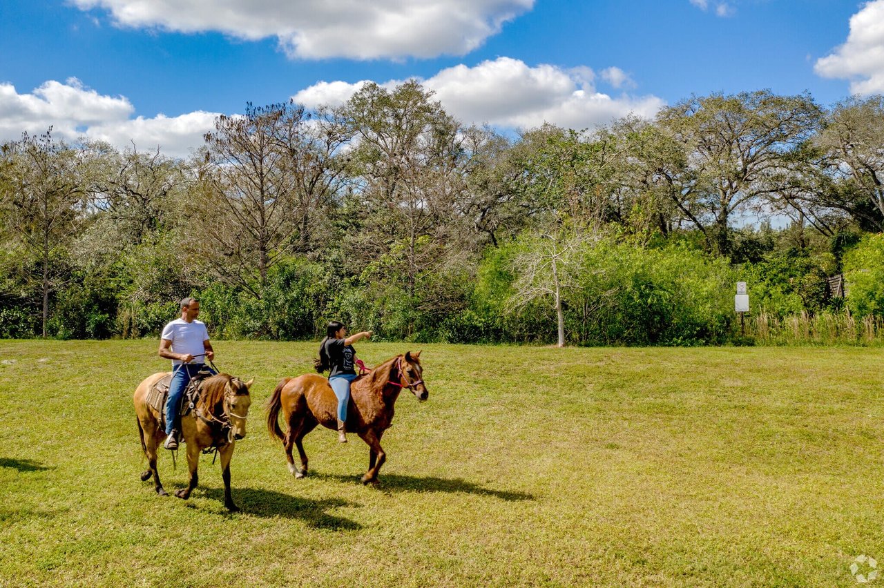 What is the Town of Davie Known For?