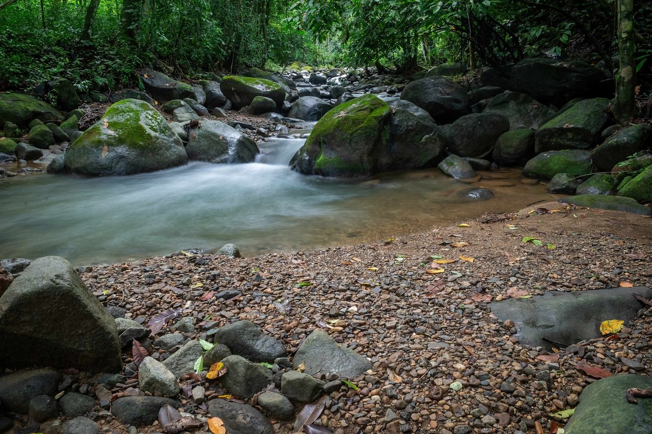 Casa Origen Hidden Away on 2.5 Acres of Land Bordered by a River!