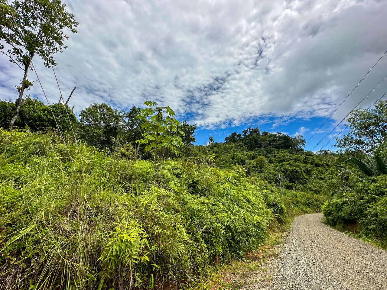 Costa Rican Gem with Conservation Potential: Preserve 26 Acres of Pristine Land