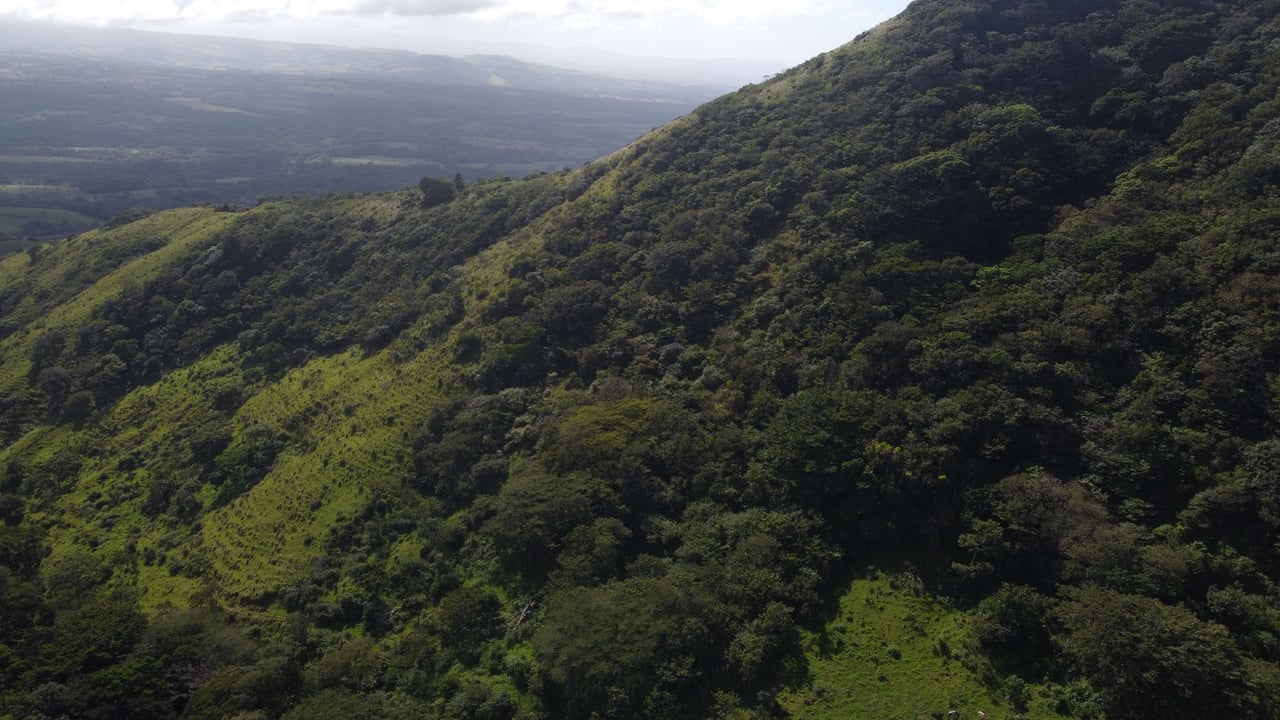 Rio Chiquito Farm | This farm offers an expansive canvas to bring your dreams to life in the majestic Guanacaste mountain rainforest region.