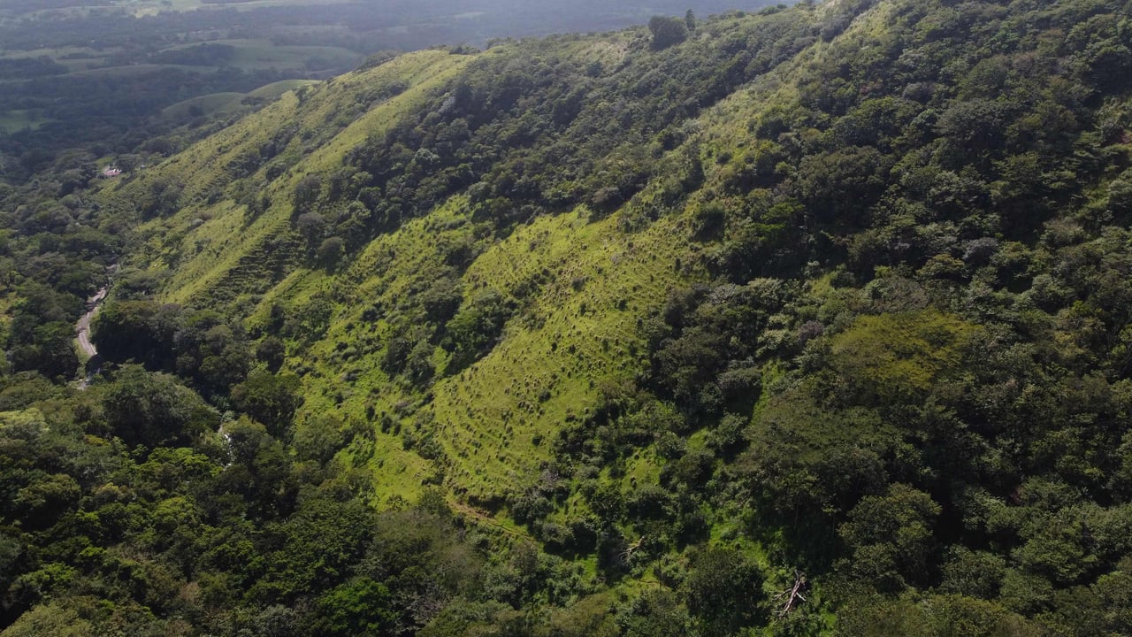 Rio Chiquito Farm | This farm offers an expansive canvas to bring your dreams to life in the majestic Guanacaste mountain rainforest region.