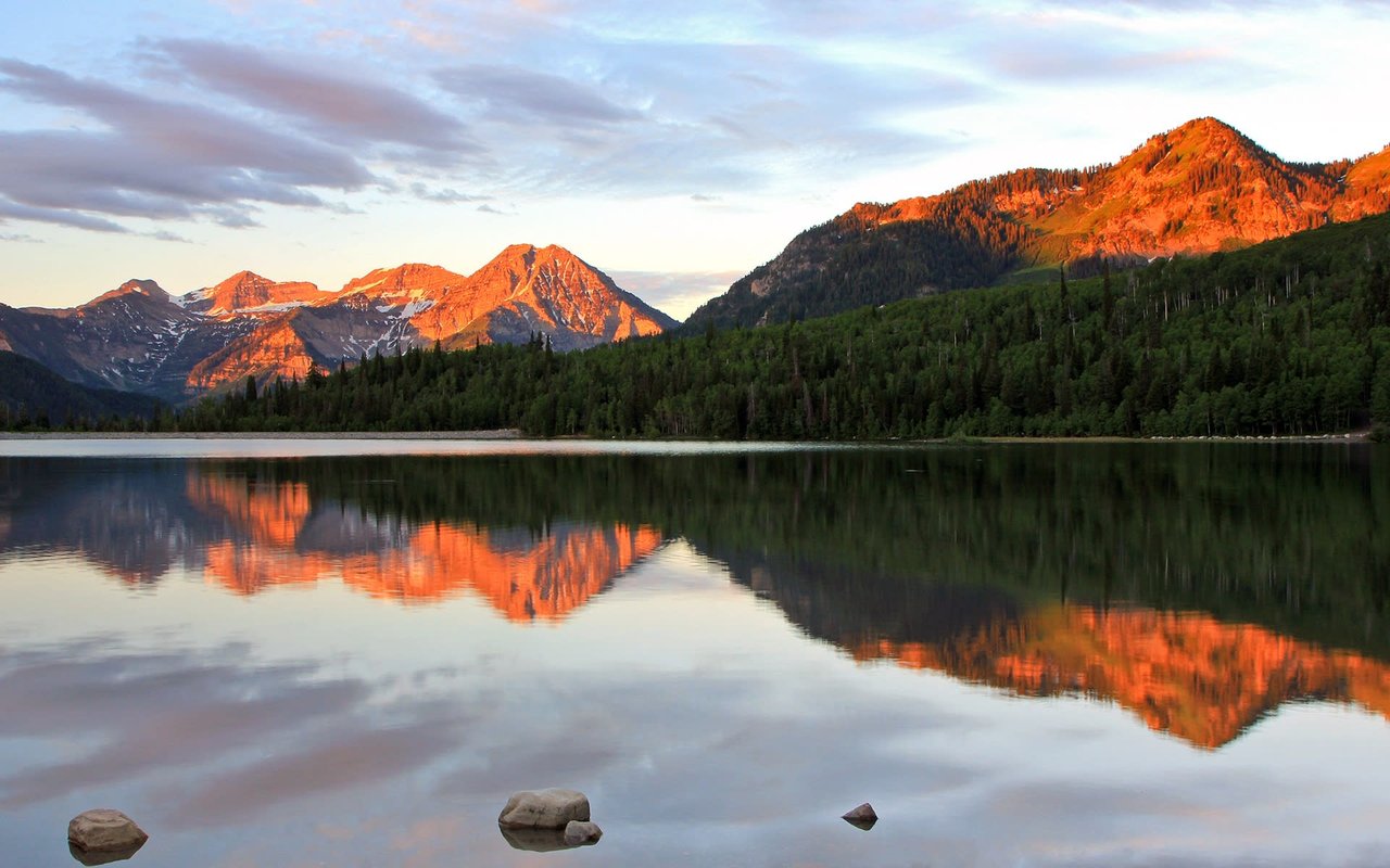 Navigating the Colorado Real Estate Market: Challenges for Sellers in a Slower Market