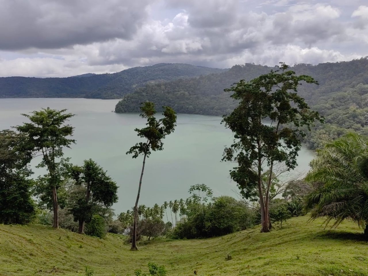 Coastal Development Land, Osa, Puntarenas