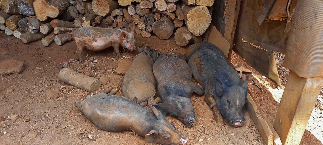 84 ACRES RIO MORENOS VIEWS OF THE PACIFIC 