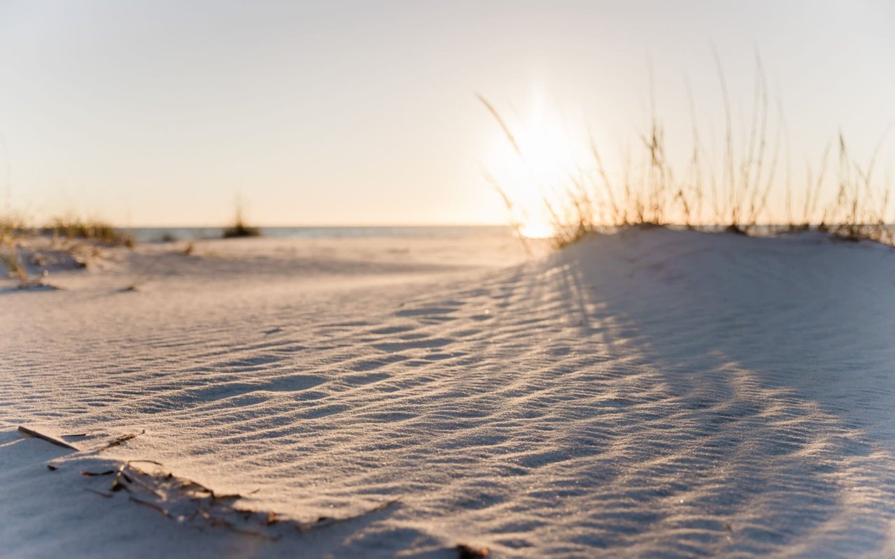 Sand dunes in Santa Rosa Beach Florida where you can find 30A real estate agent, Candice KausHagen.
