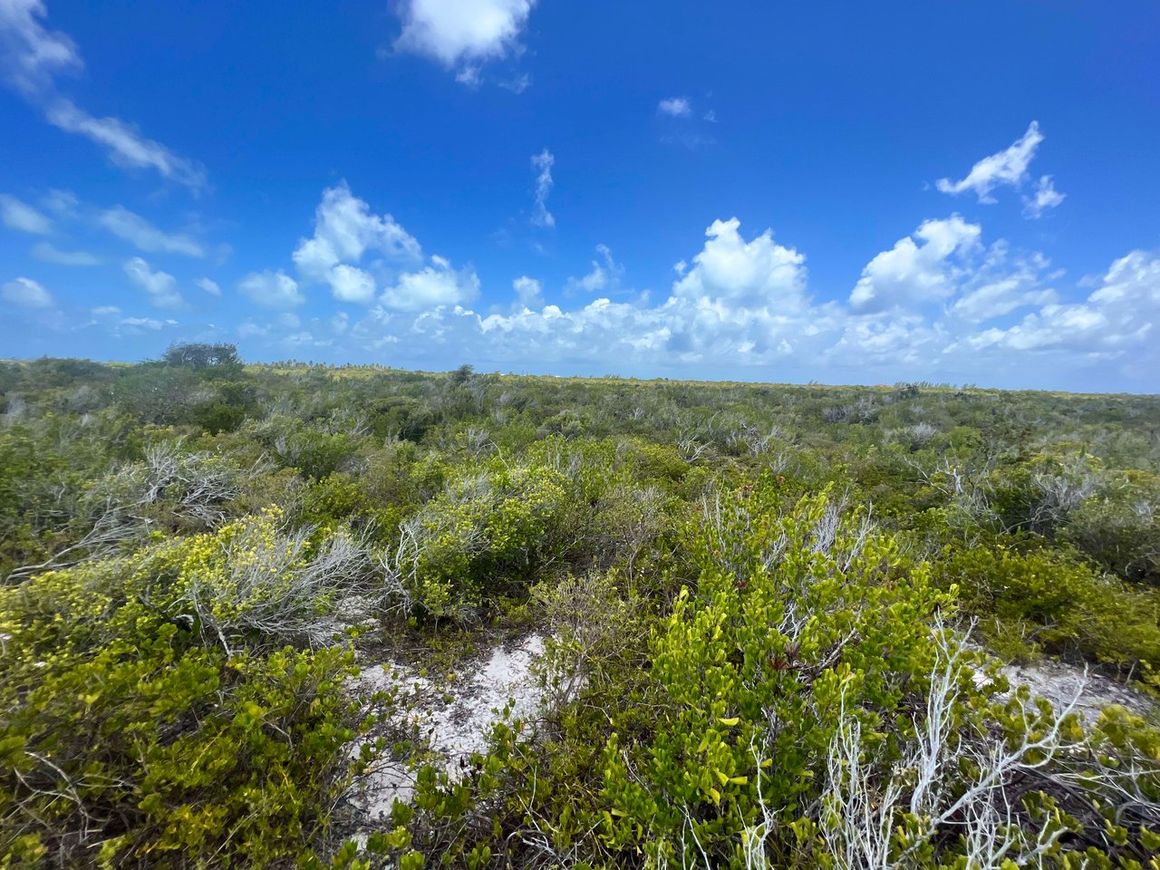 784 .509 Acres at West End, Anegada