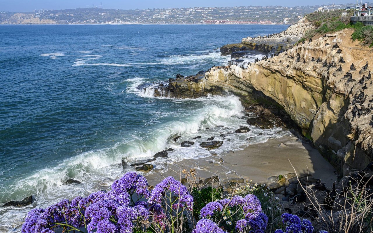 La Jolla