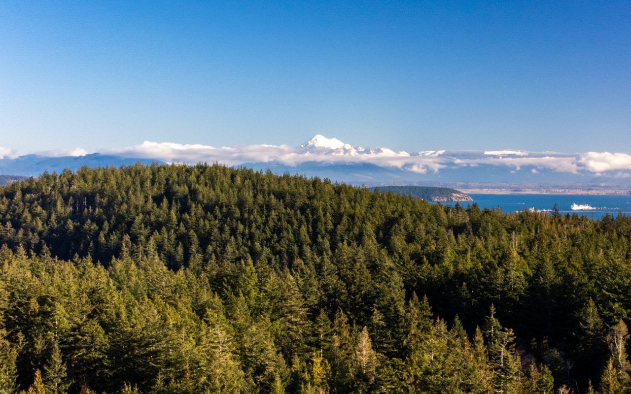 Anacortes Real Estate Agent