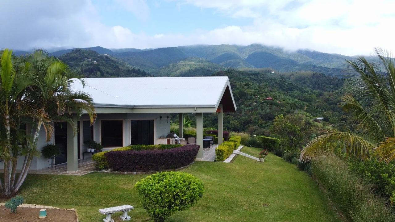 Coffee Plantation Estate, Alajuela
